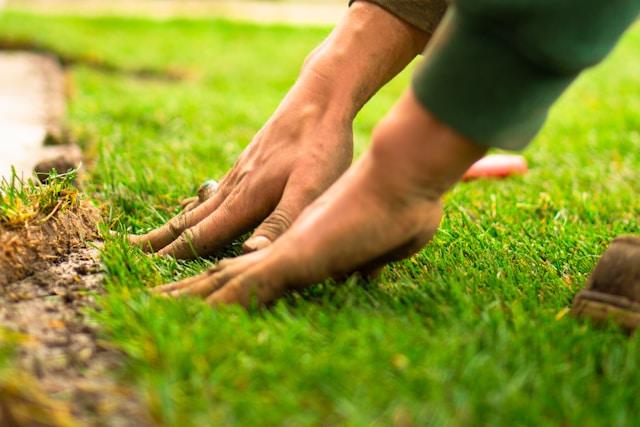Hands working in grass